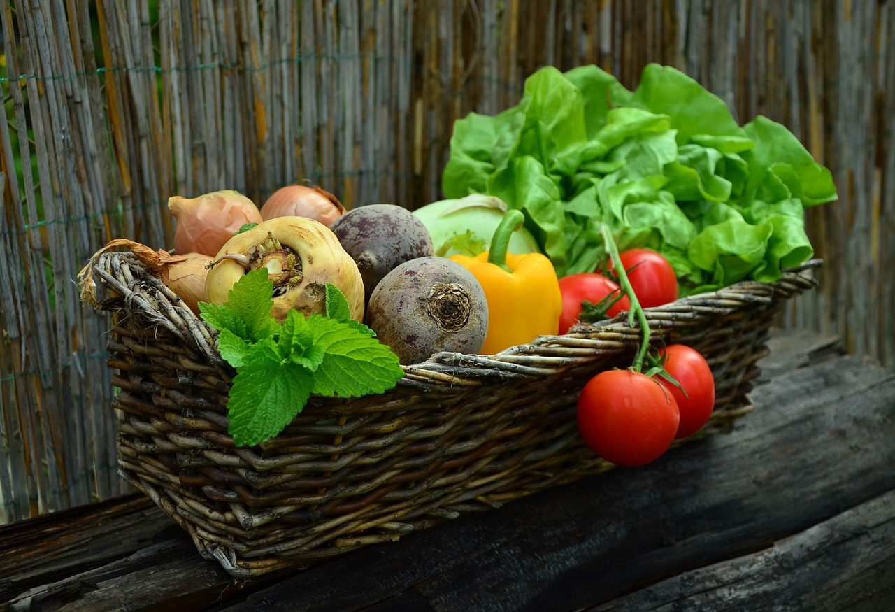 Global TV News: How to setup a self-watering garden