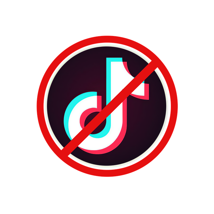 Canada launches a federal investigation into TikTok